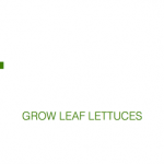 bookshelf.keynote018