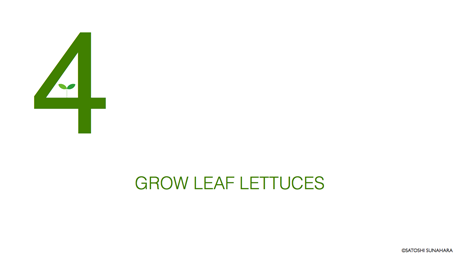 bookshelf.keynote018