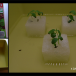 bookshelf.keynote019