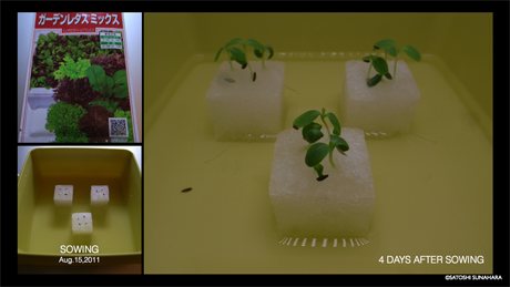 bookshelf.keynote019