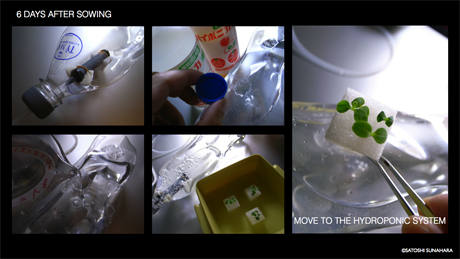 bookshelf.keynote020