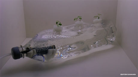 bookshelf.keynote022