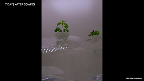 bookshelf.keynote023