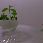 bookshelf.keynote024