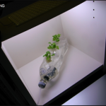 bookshelf.keynote026