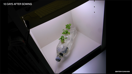 bookshelf.keynote026