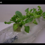 bookshelf.keynote027