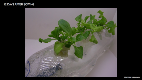 bookshelf.keynote027