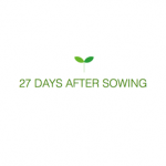 bookshelf.keynote029