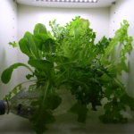 bookshelf.keynote030