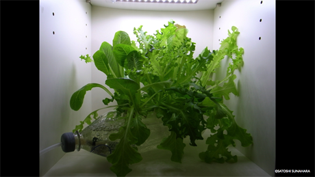 bookshelf.keynote030