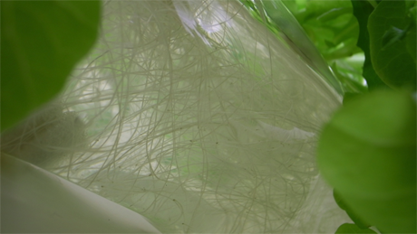 bookshelf.keynote033