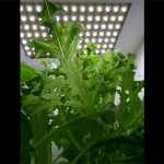 bookshelf.keynote035