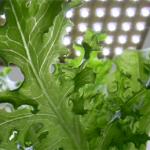 bookshelf.keynote036