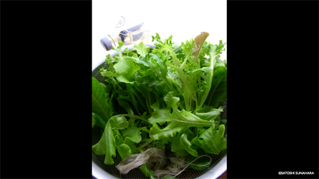 bookshelf.keynote038