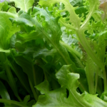 bookshelf.keynote039