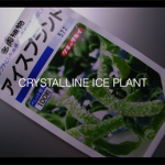 bookshelf.keynote041