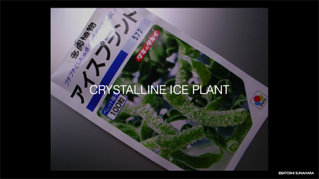 bookshelf.keynote041